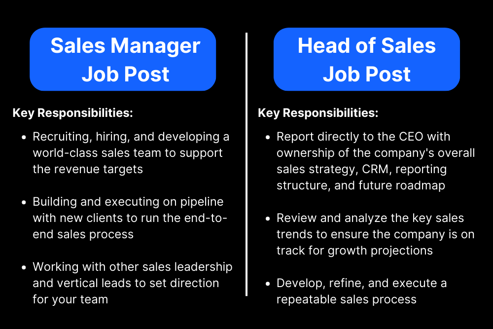 What is a Sales Manager