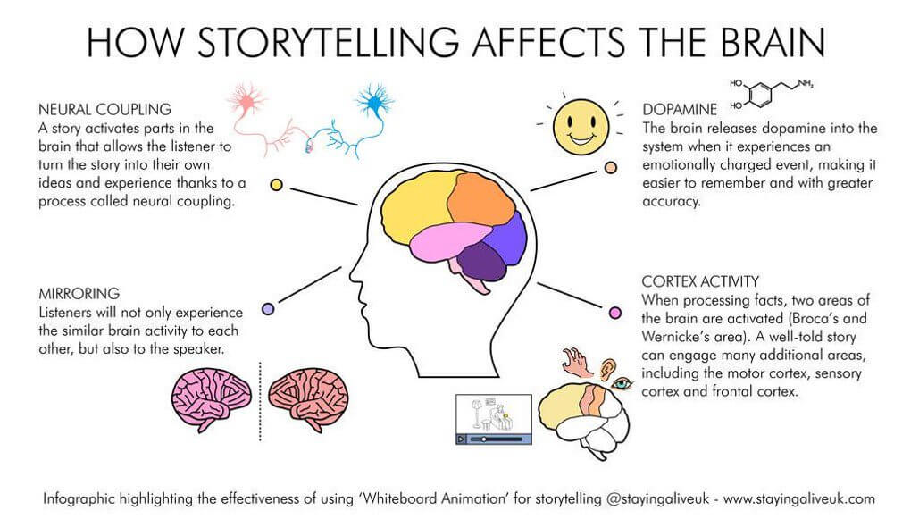 How Storytelling Affects the Brain; Sales Skills